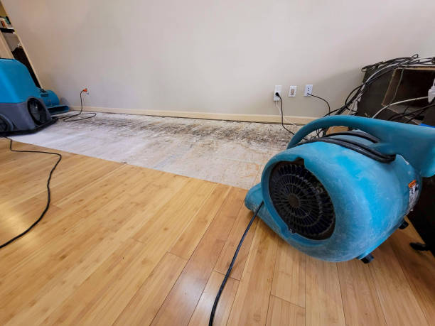 Professional Sewage Cleanup technician working in Biddeford Pool, ME